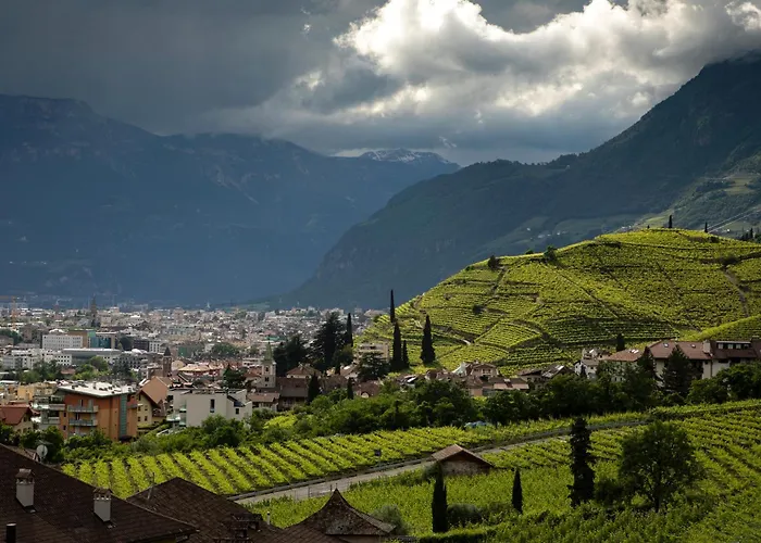 Ξενοδοχείο Magdalener Hof 4*